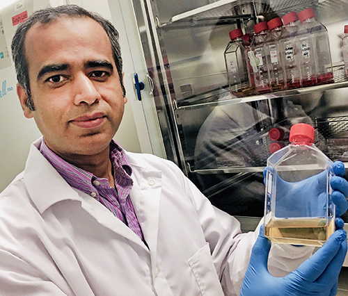 Ankur Singh, PhD, with a multi-institutional team, are working on new organoid technology through prostate cancer research